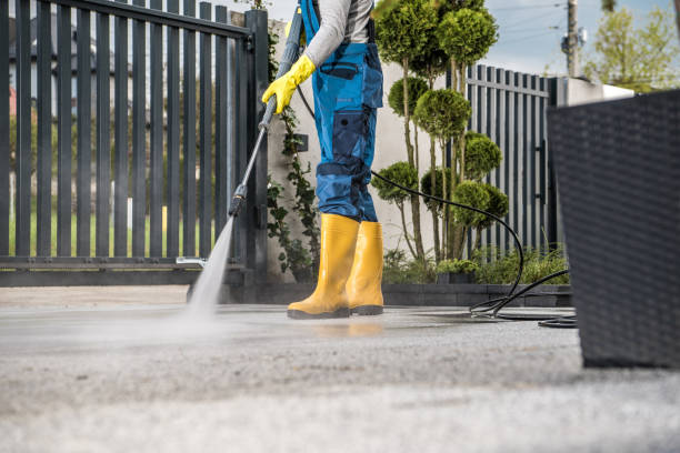 Best Sidewalk and Walkway Cleaning  in South Daytona, FL